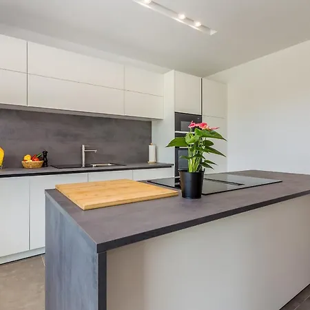 Verena Villa